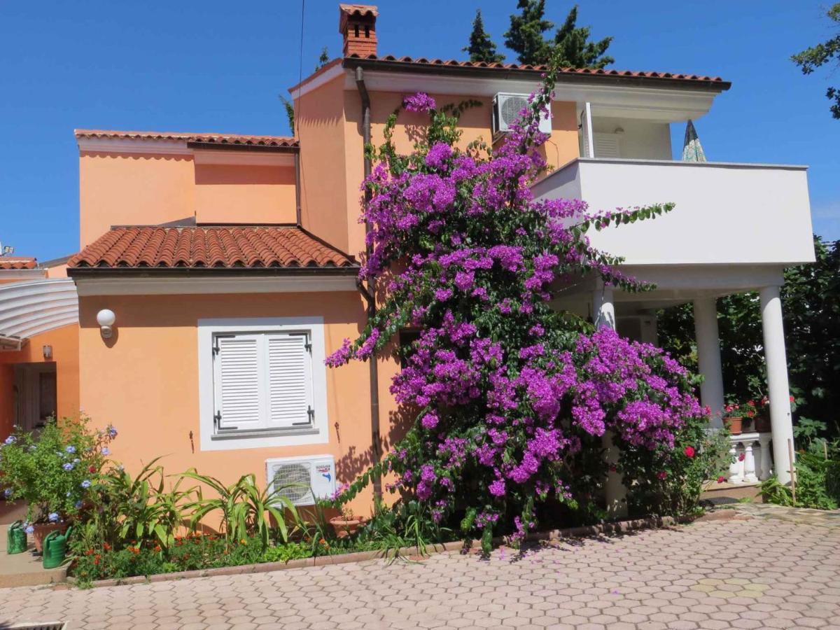 Apartments In Premantura/Istrien 34773 외부 사진
