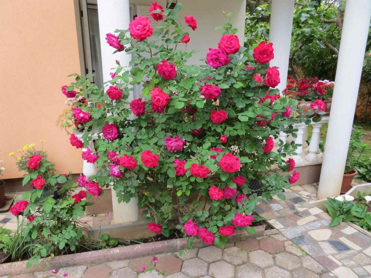 Apartments In Premantura/Istrien 34773 외부 사진